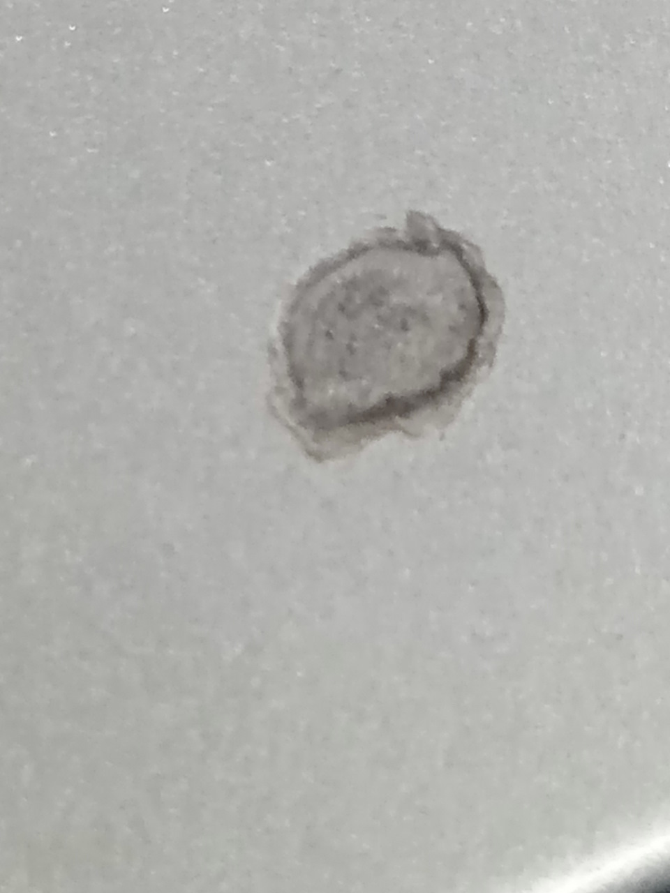 9мм — Renault Koleos (2G)