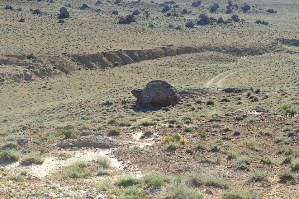 Фото в бортжурнале УАЗ Patriot