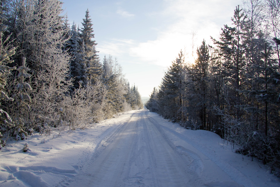 Фото в бортжурнале Mitsubishi Pajero (4G)
