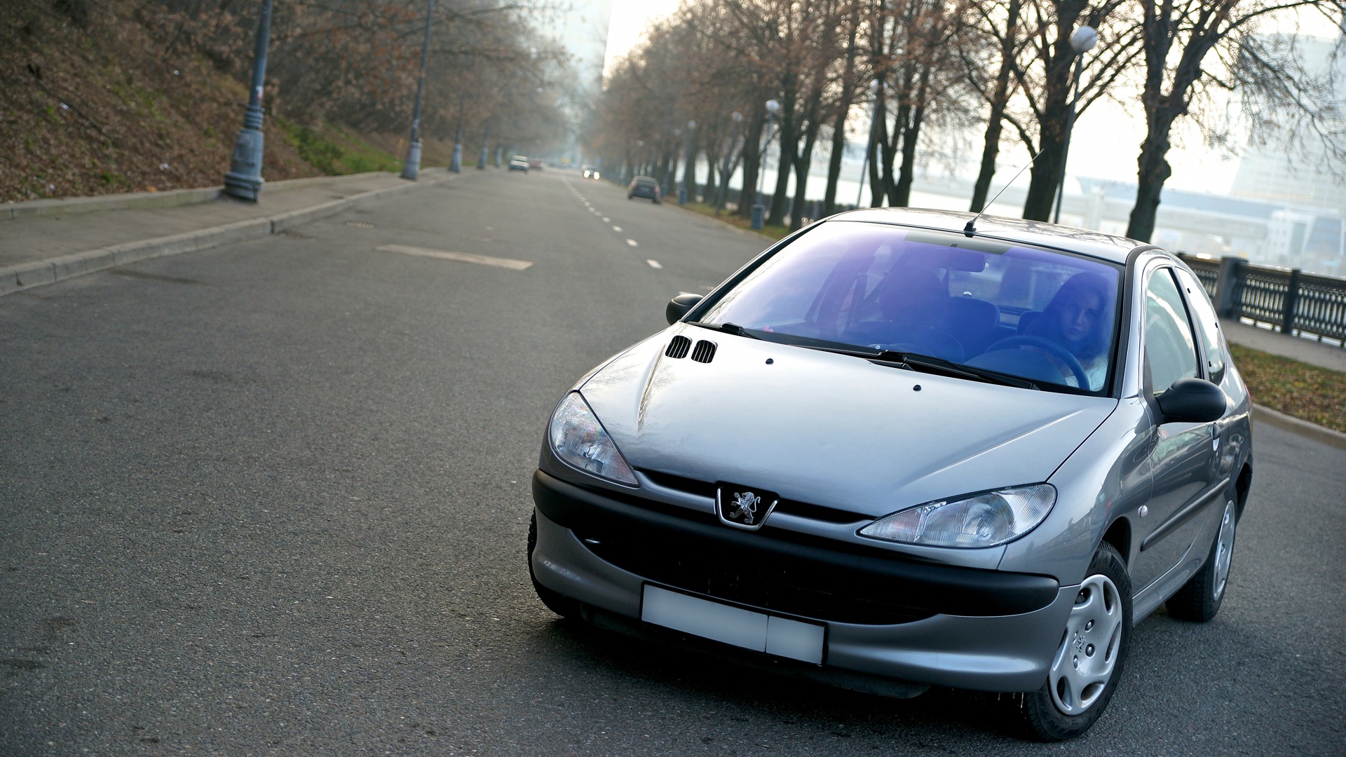 Peugeot 206 1.1 бензиновый 2003 | Le petit lapin на DRIVE2