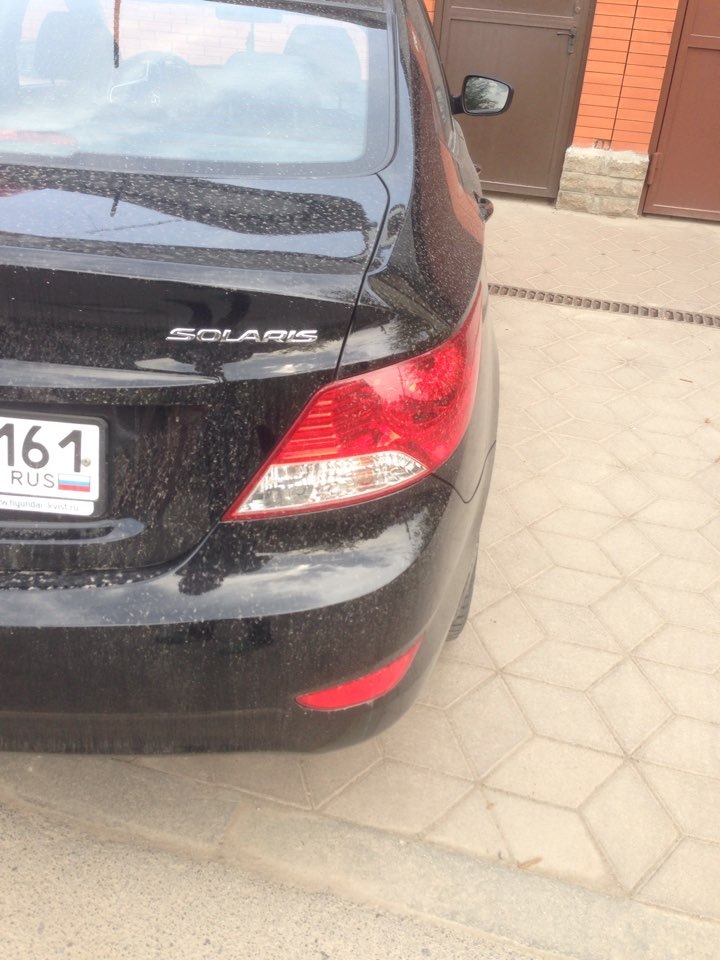 Solaris 12. Хендай солярис новый. Новый hyundai solaris. Солярис 2 r17. Т809тр161 солярис.