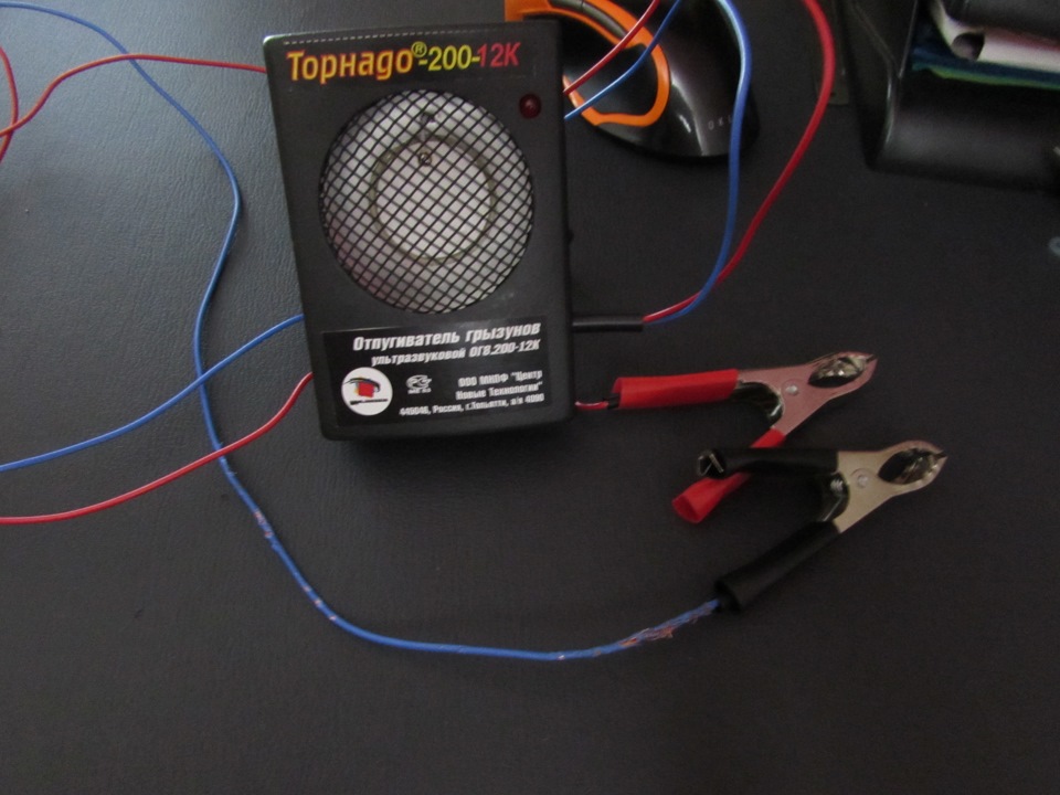 крысы( под капотом. — Hyundai Accent (2G), 1,5 л, 2006 года | прикол ...