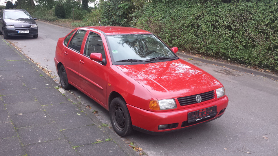 red polo classic