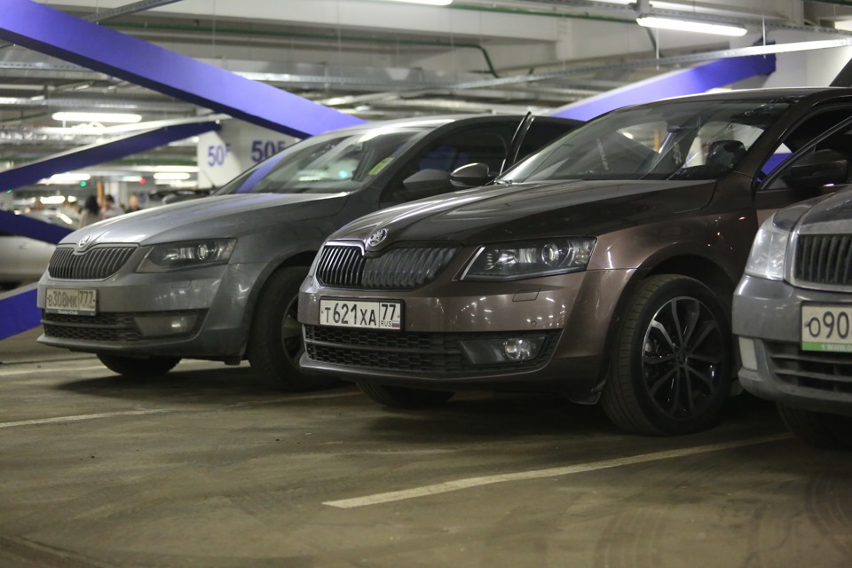 Octavia club. Skoda Octavia Club. Октавия Шкода клуб. Московская Шкода Октавия вечером. Вид из машины на Москва Сити Шкода Октавиа осенью.