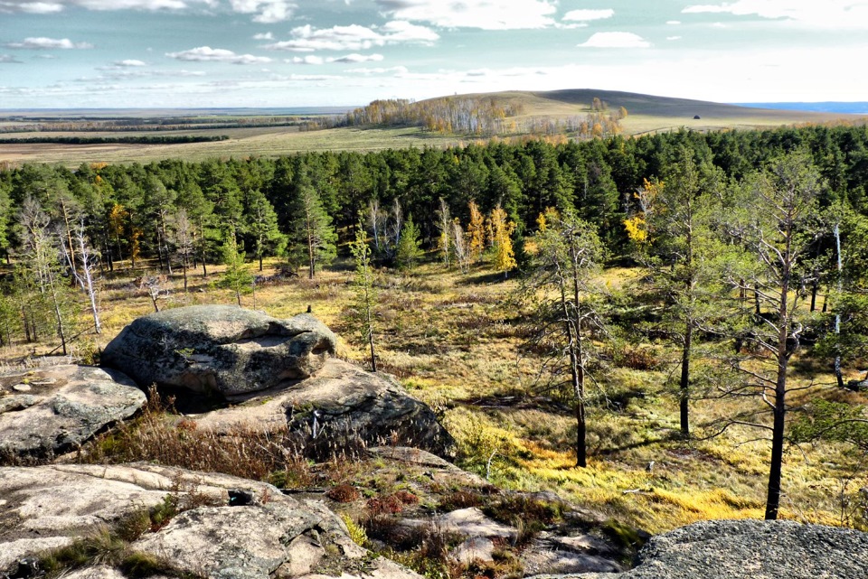 Лесной челябинск