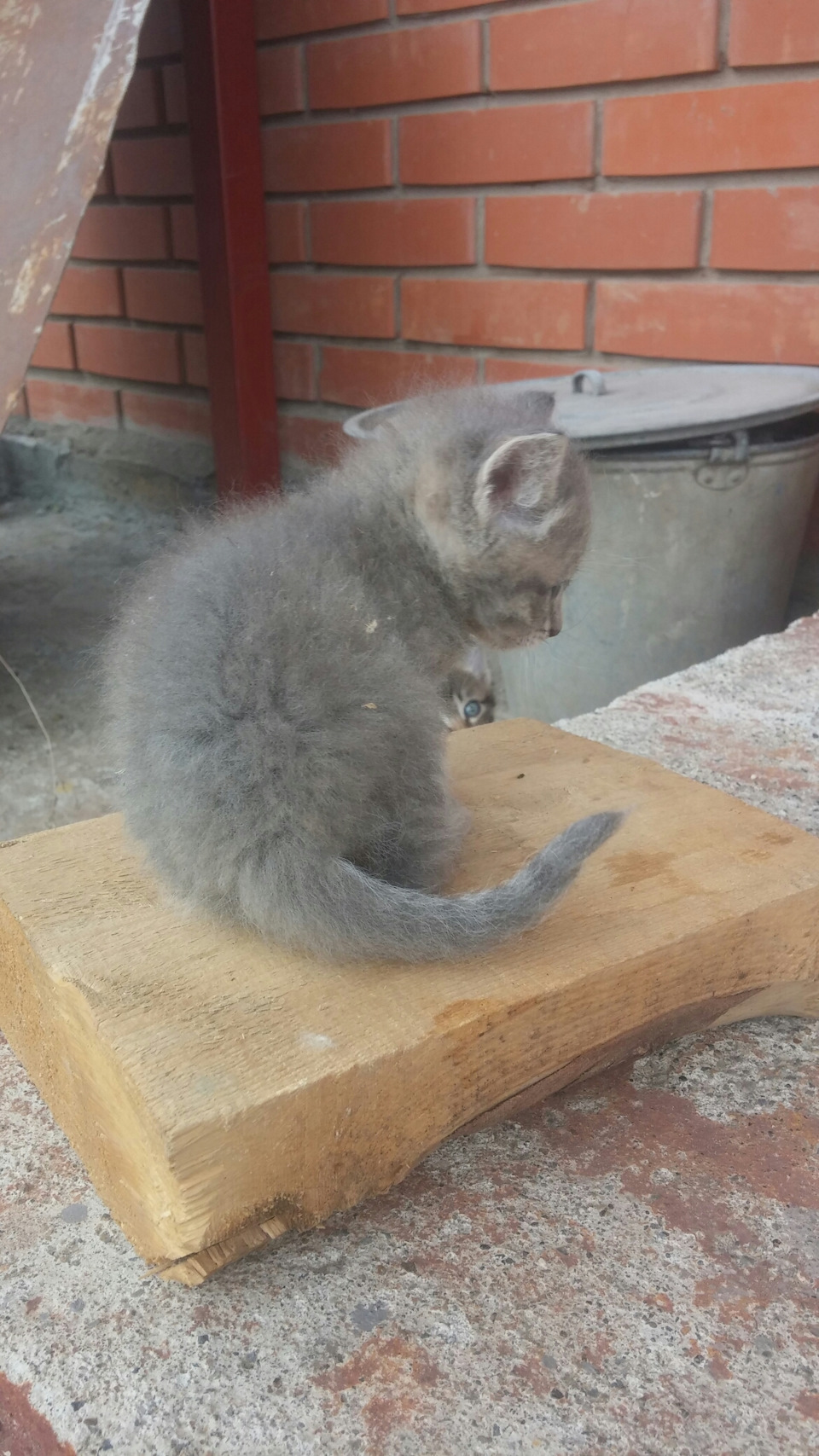 Фото в бортжурнале SsangYong Rexton (1G)