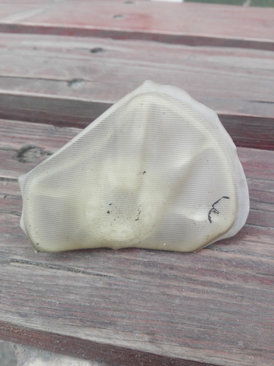 Сетка бака ВАЗ 21099 — Lada 21099, 1,6 л, 2008 года | расходники | DRIVE2