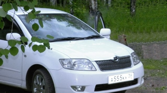 Не заводится-не работает диагностика, заводится только с педалью газа ...