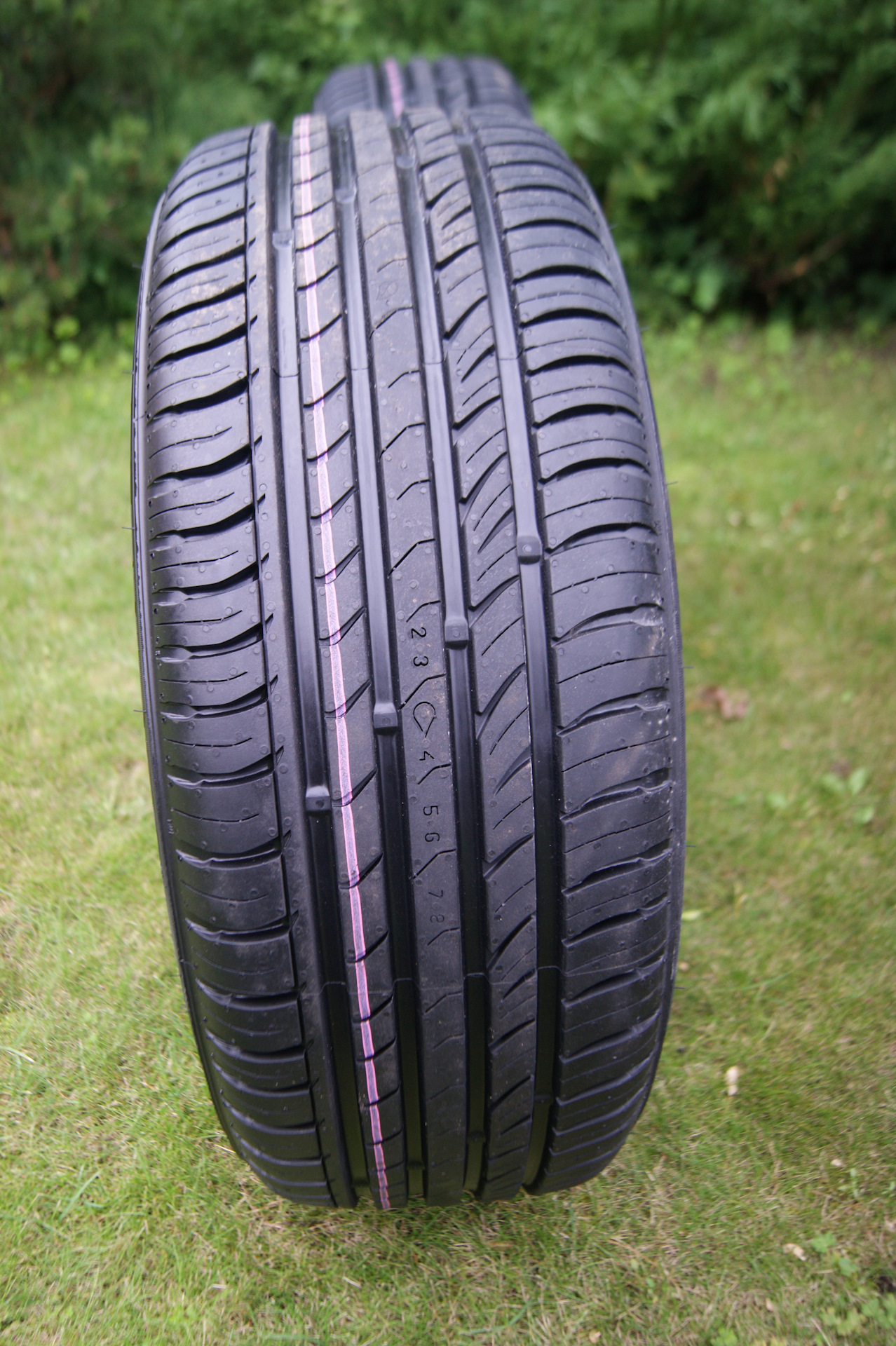 Nordman sx2 205 55. Нокиан Нордман SX. Nokian Tyres Nordman SX. Нокиа Нордман сх3. Нокиан СХ 2.