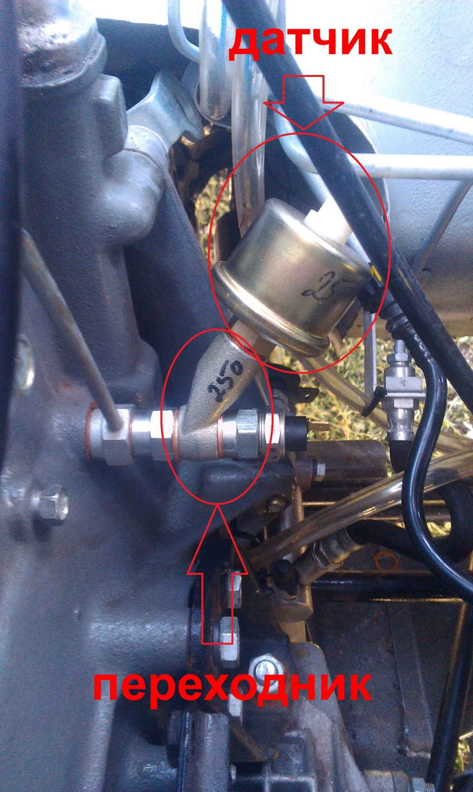 Давление масла д245. Датчик аварийного давления масла для двигателя д243. Датчик давления масла д245 е3. Датчик давления масла д245 е4. Механический датчик давления масла мотор д 245.