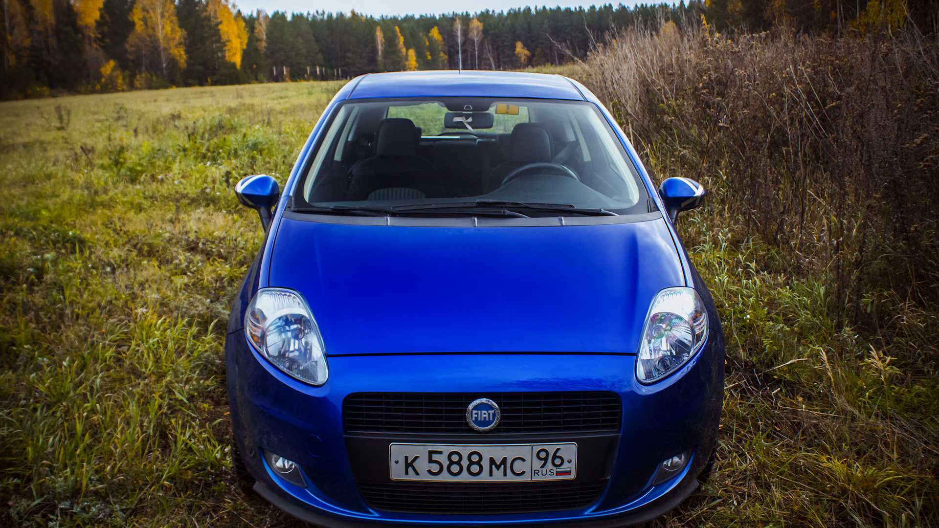 маленькая попка FIAT Grande Punto 1.4 бензиновый 2007 | маленькая синяя попка на DRIVE2