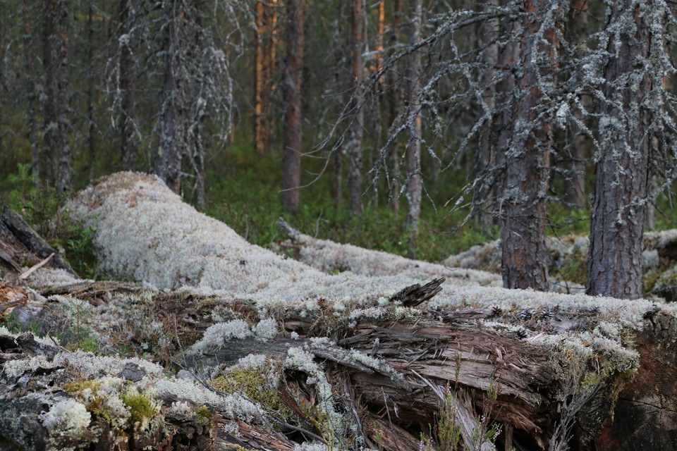 Karelia 2014 Day 1 Broken