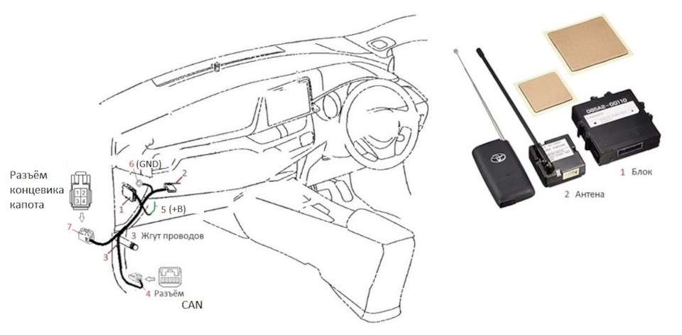Фото в бортжурнале Toyota C-HR