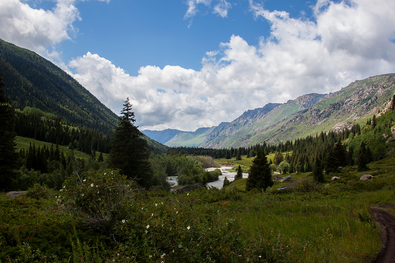 Джунгарский алатау фото