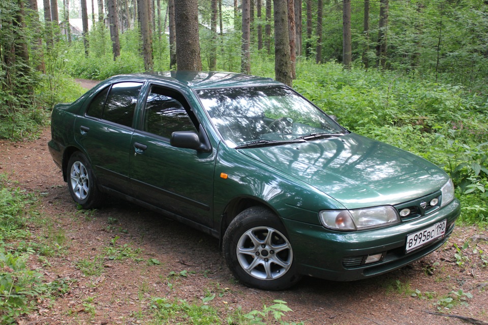 Н 15. Ниссан Альмера 2000 зеленая. Ниссан Альмера зеленый. Nissan 1998 Green Almera. Ниссан Альмера зеленый металлик.