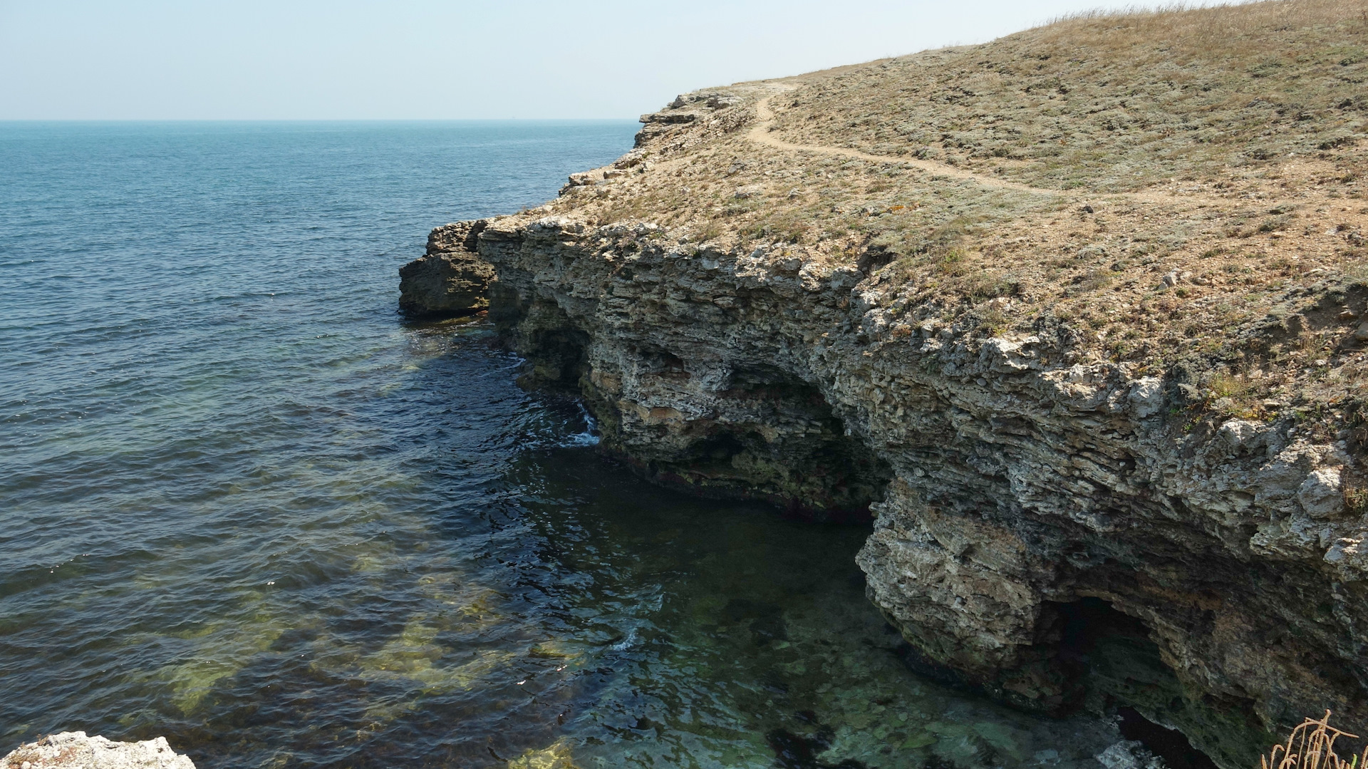 Дельфинья бухта Тарханкут