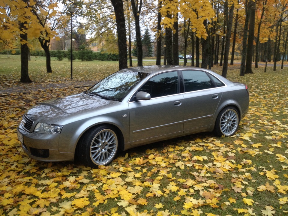 Серая пленка Audi a4 b6