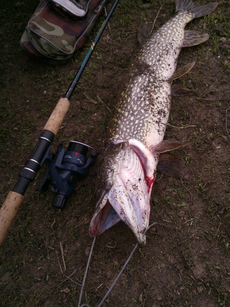 Фото в бортжурнале Lada 21114
