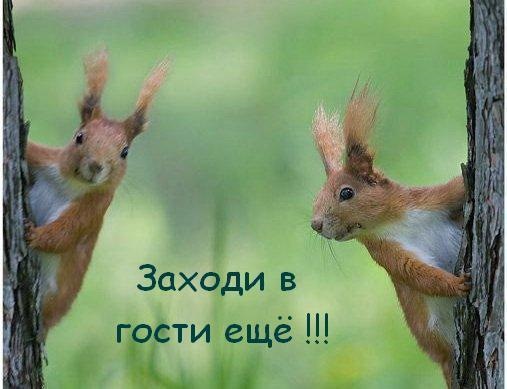 заходите почаще)) — Citroen C1 (1G)