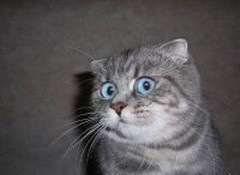 Фото в бортжурнале Lada Vesta (1G)