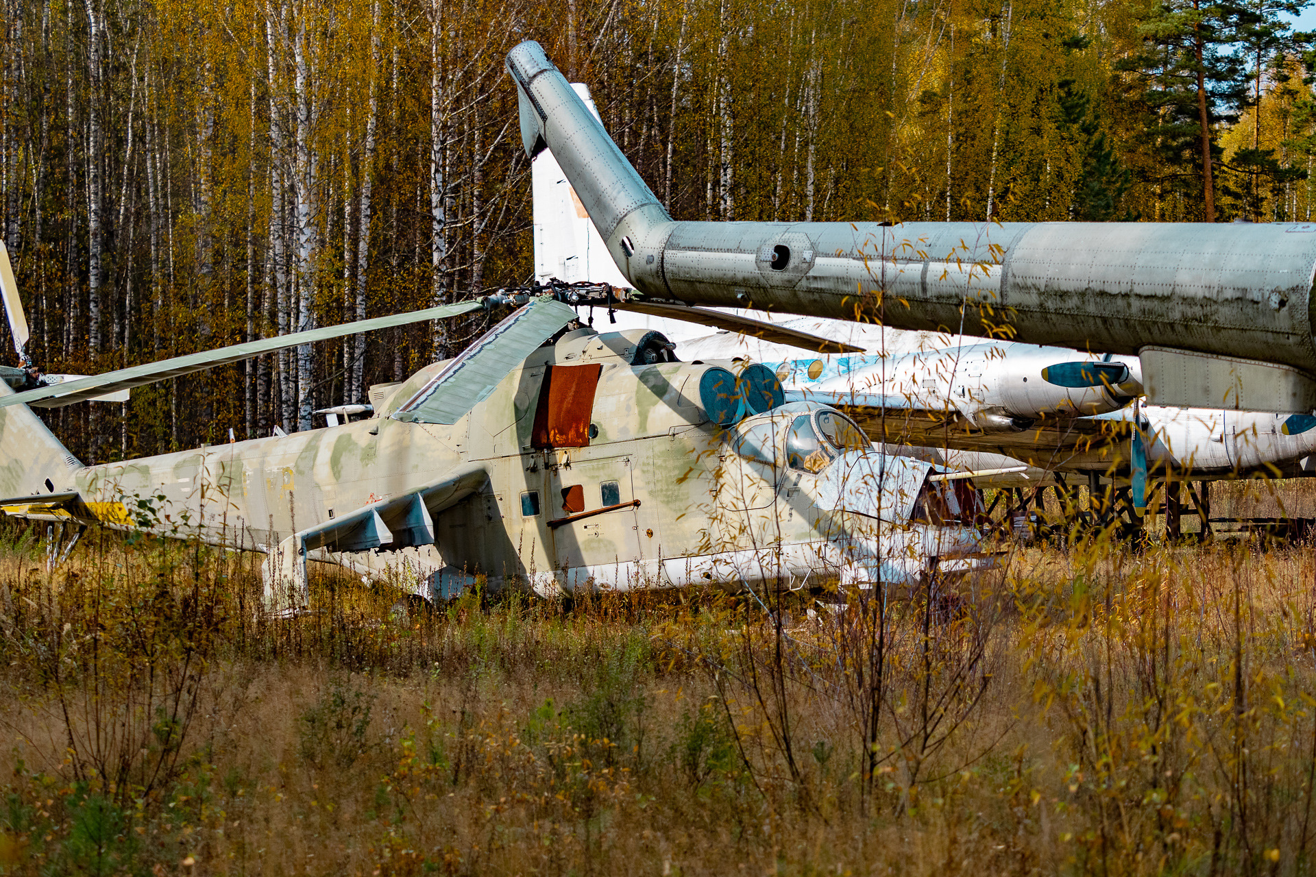 Богдановский лес самолет. Самолет в лесу. Брошенный самолет в лесу. Самолеты в лесу заброшеные. Самолеты в лесу Нижегородская область.