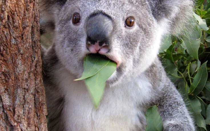 Вся правда о маслах! — DRIVE2