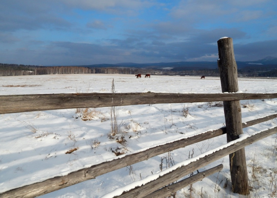 Фото в бортжурнале KIA Sportage (1G)