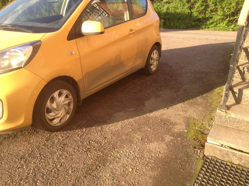 Колпаки — KIA Picanto (2G), 1,2 л, 2013 года | колёсные диски | DRIVE2