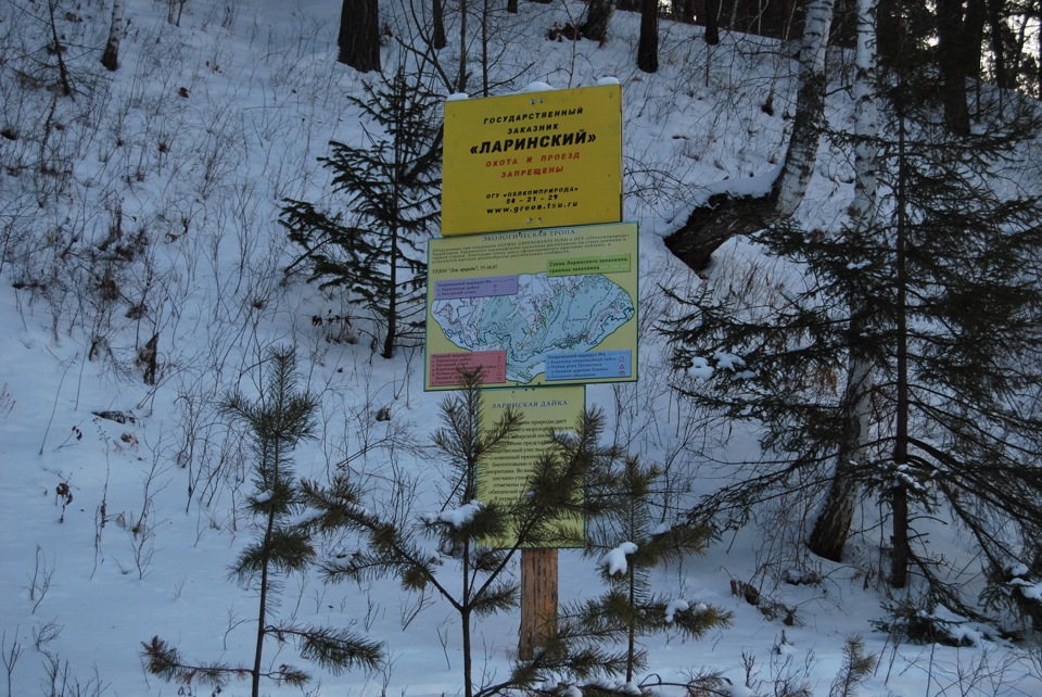 Фото в бортжурнале Nissan Terrano I