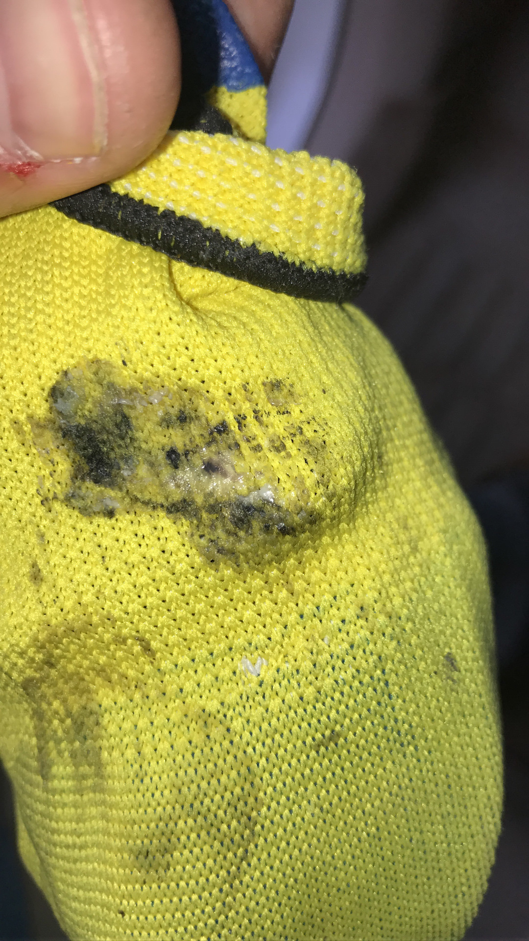 Устраняем скрип АКПП при переключении передач — Toyota Land Cruiser ...