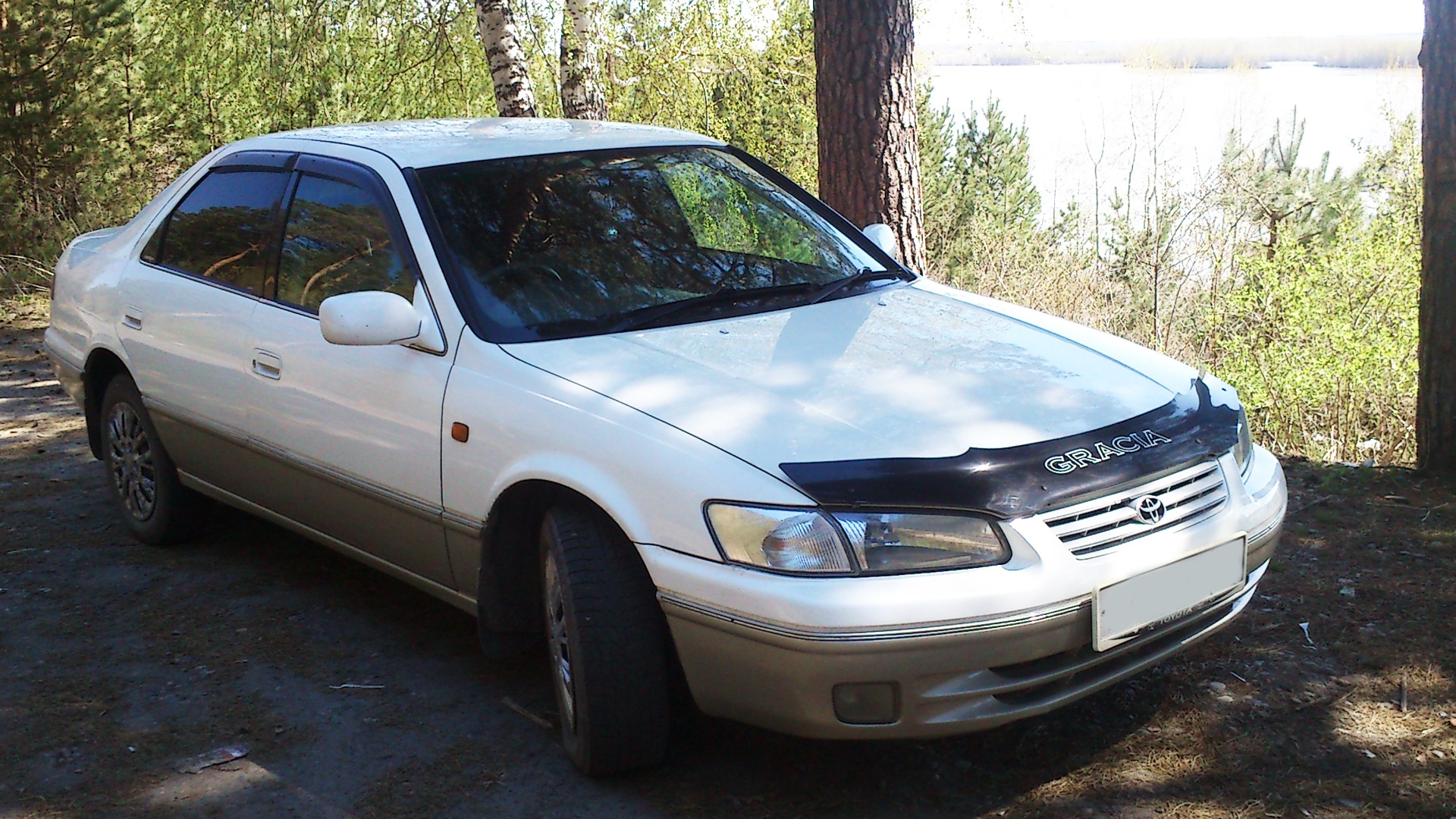 Toyota Camry Gracia 2.2 бензиновый 1999 | «Японский кораблик» на DRIVE2