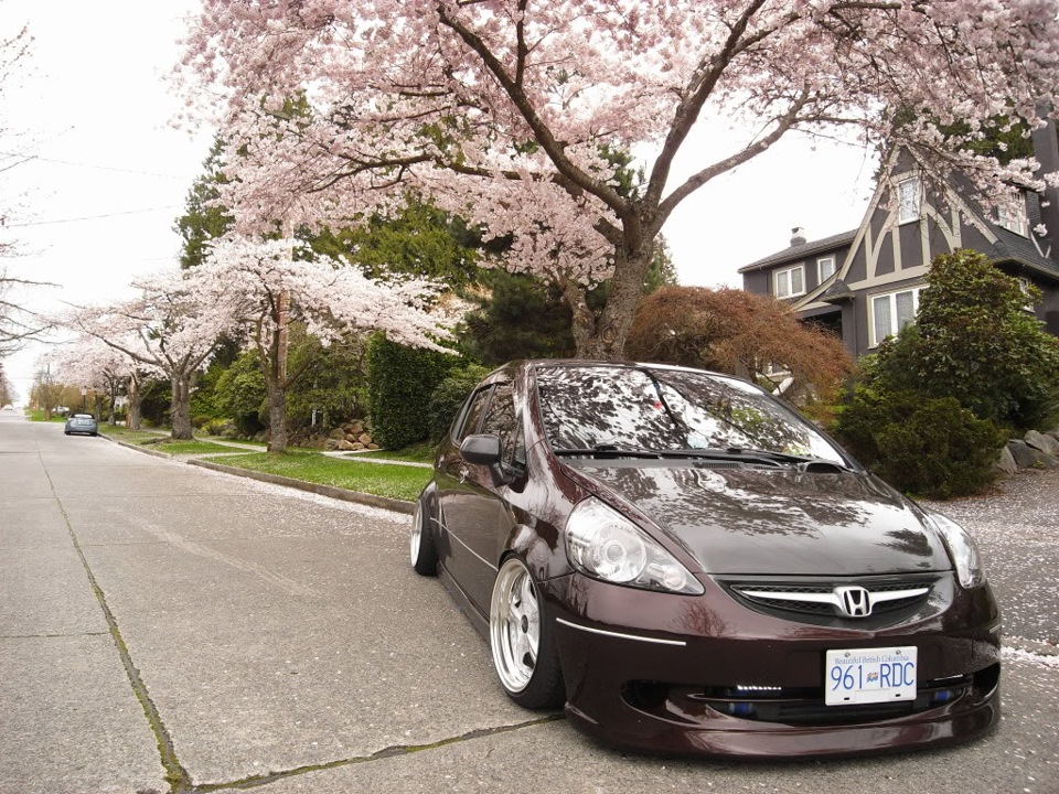 сакура авто