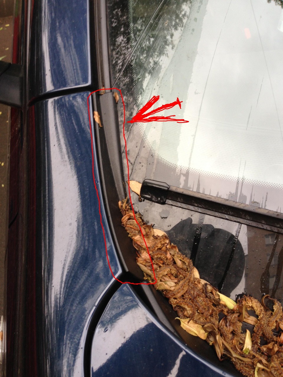 Как называется эта штука? — Nissan Qashqai (1G), 2 л, 2009 года ...
