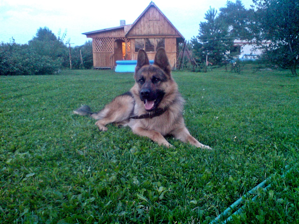 Кузнецы лебедянь