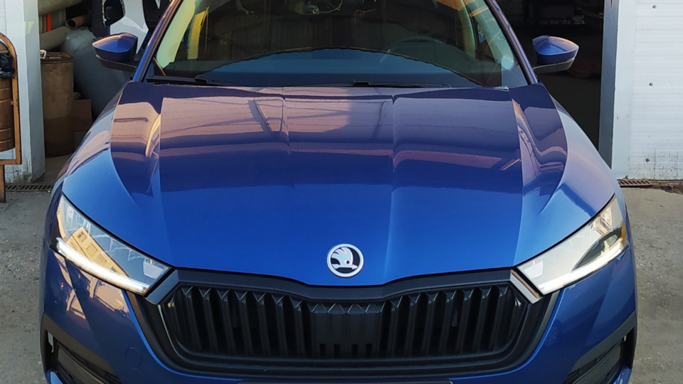 Skoda Octavia Синий Кит🐋