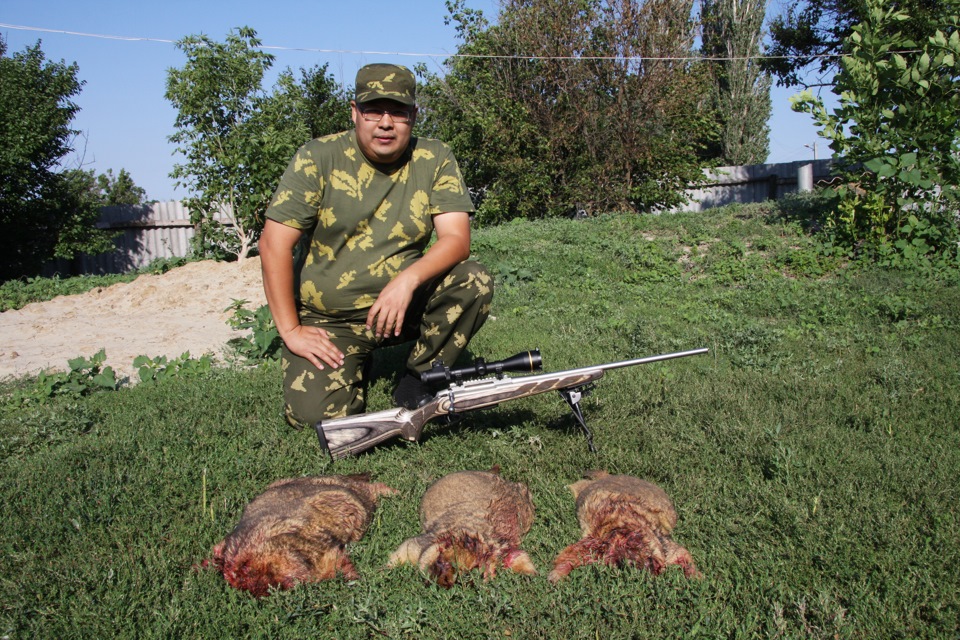 охота на байбака в ростовской области путевка