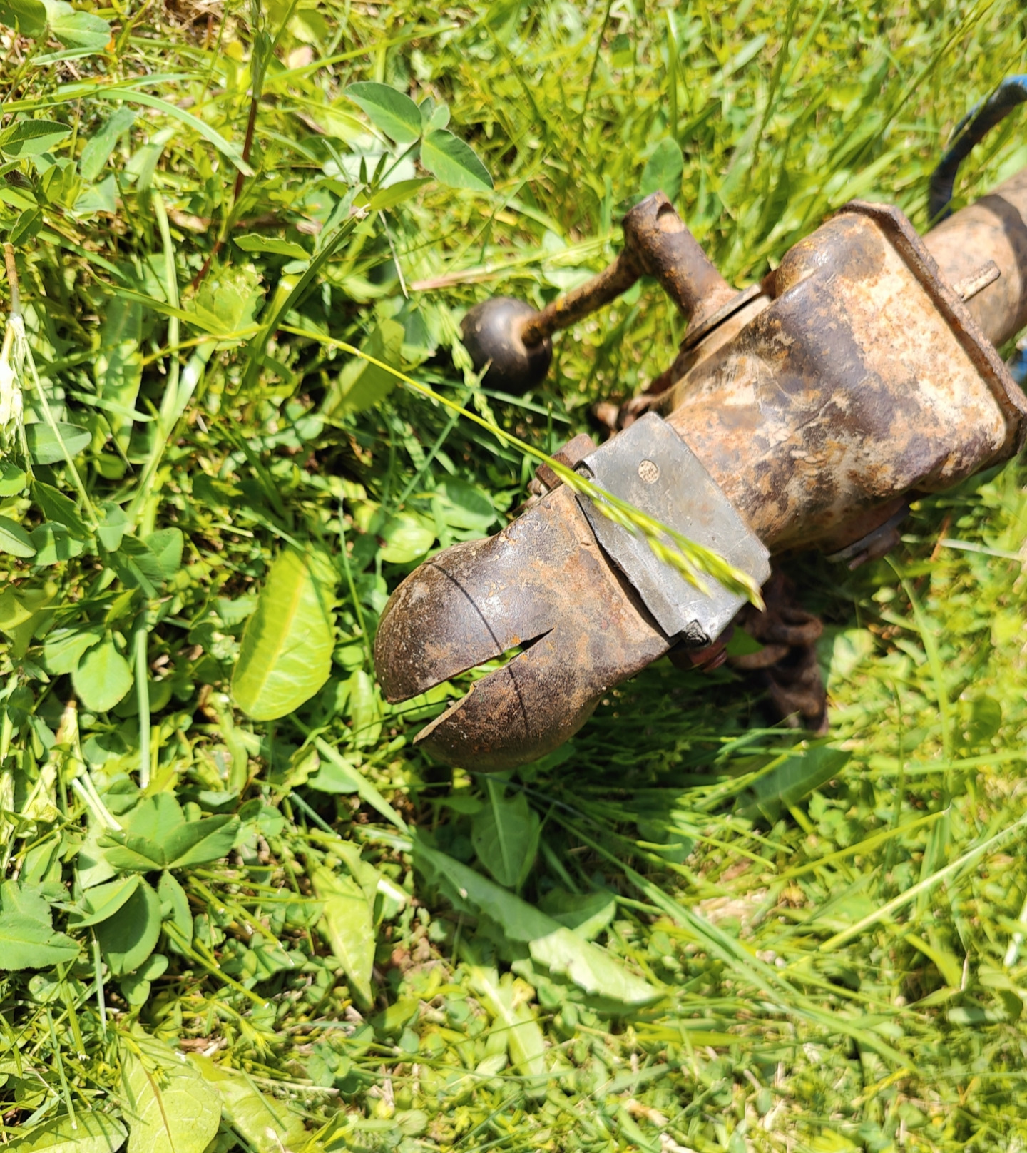 Забрал БАЗ, а тут подарок . — Сообщество «Прицепы» на DRIVE2