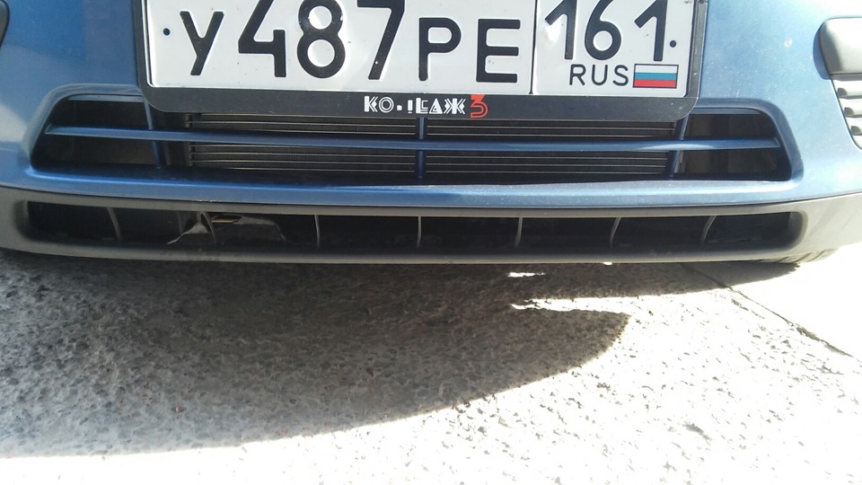 Защита радиатора сеткой — Ford Focus Hatchback II, 1,6 л, 2006 года ...