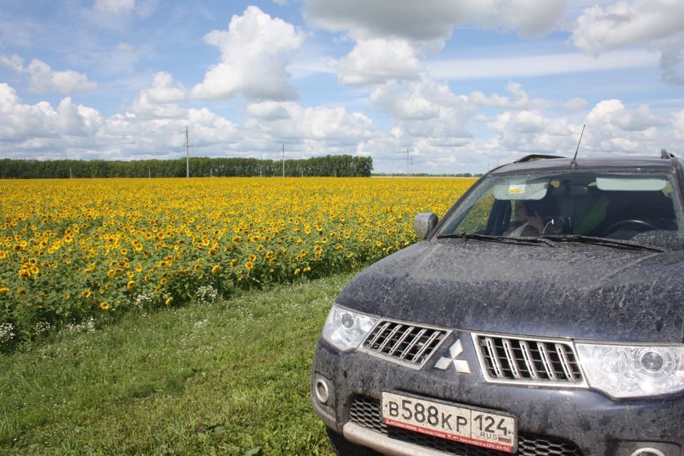 Алтайские подсолнухи — Mitsubishi Pajero Sport (2G)