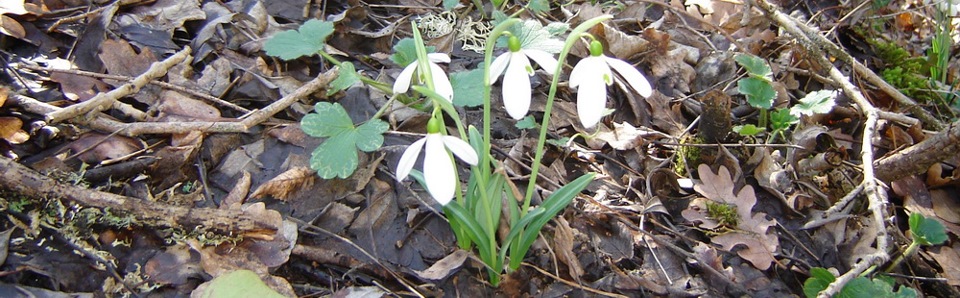 Фото в бортжурнале Volkswagen Polo Sedan