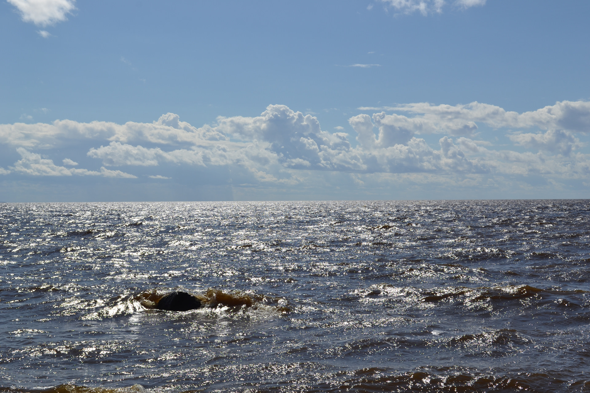 Водохранилище море. Рыбинское море. Рыбинское море Милюшино. Каспийское море Рыбинское водохранилище. Дрейфующий остров на Камском водохранилище.