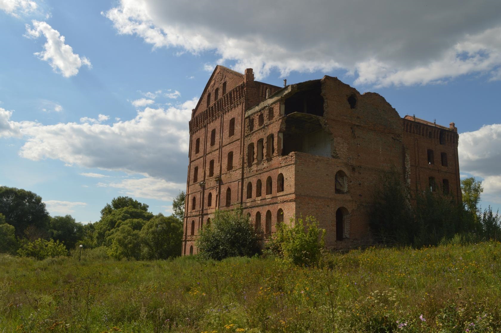 Адамова мельница ливны фото