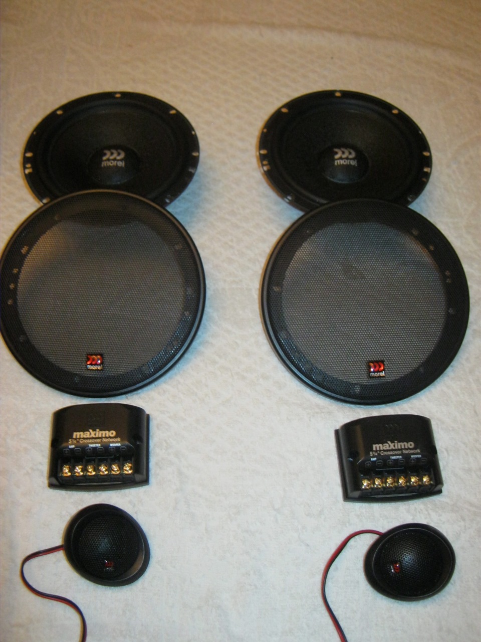 Morel maximo 6. Morel maximo 6