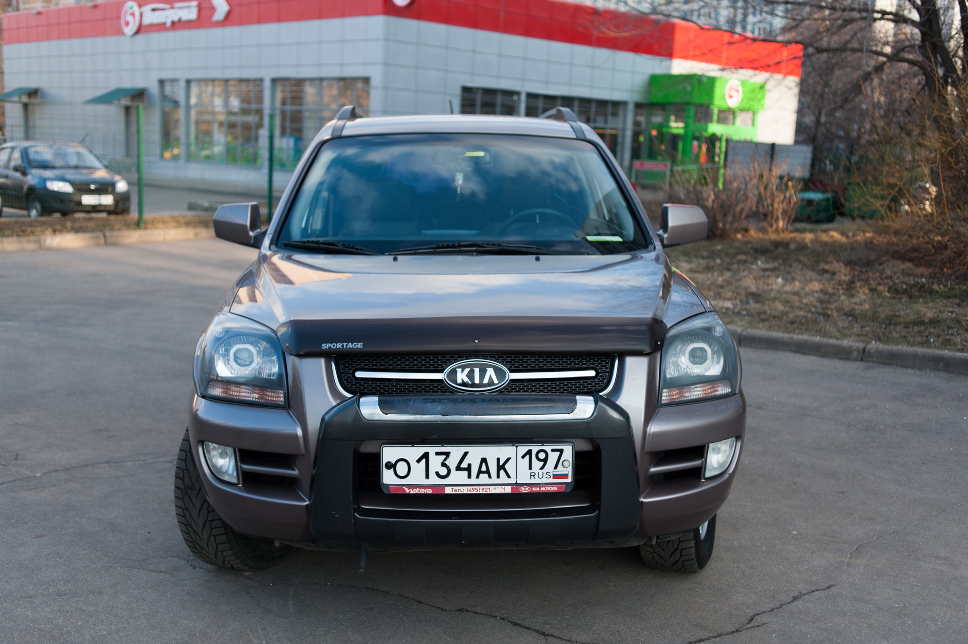 Кенгурин заводской Kia Sportage 1