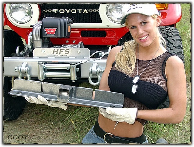 Фото в бортжурнале Toyota Land Cruiser 40