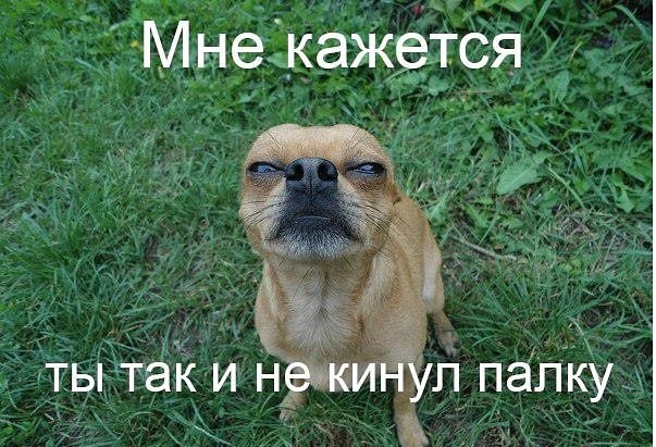 Мем с палкой