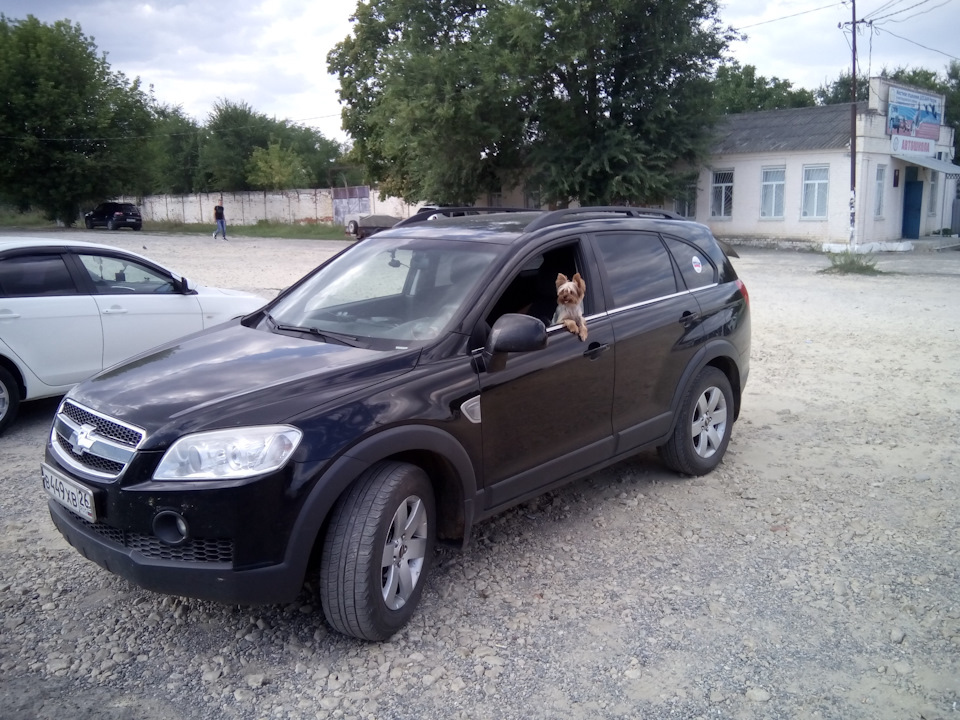Несколько фото Капитошки — Chevrolet Captiva (1G), 2,4 л, 2008 года ...