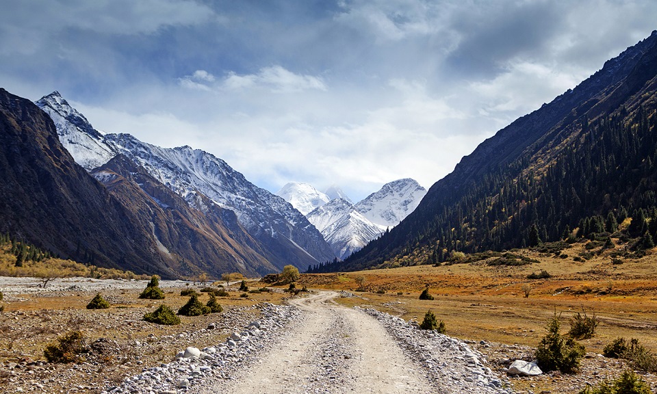 Фото в бортжурнале Infiniti QX70