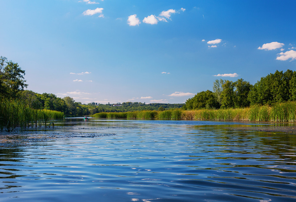 какие рыбы водятся в битюге. Смотреть фото какие рыбы водятся в битюге. Смотреть картинку какие рыбы водятся в битюге. Картинка про какие рыбы водятся в битюге. Фото какие рыбы водятся в битюге