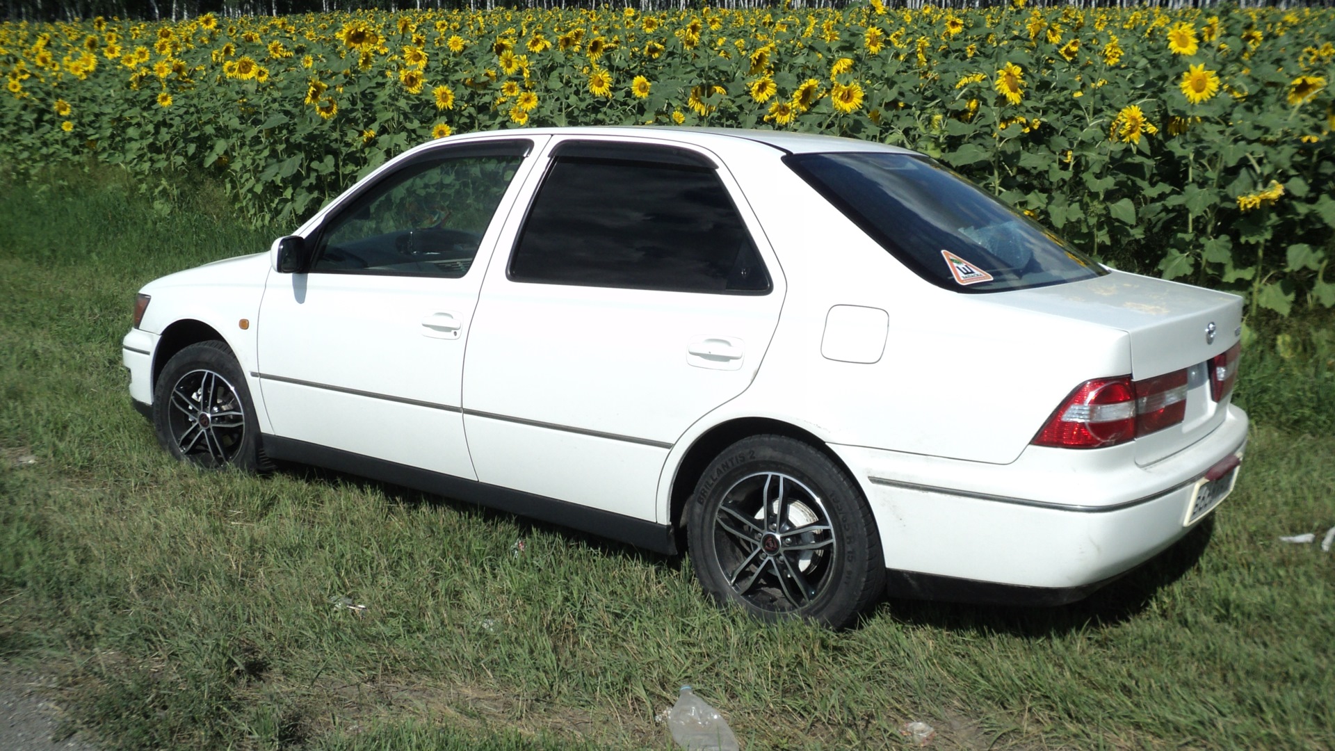 Toyota Vista (50) 1.8 бензиновый 1999 | ♤И ЦЕЛОГО МИРА МАЛО♤ на DRIVE2